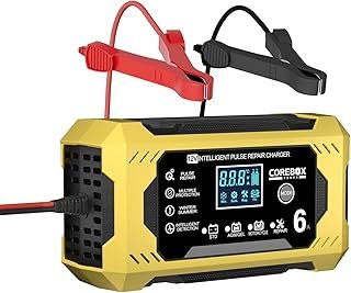 Proactive Car Battery Maintainer & Smart Monitor, -40℉~176℉ UltraSafe Battery Booster for 6.0L/6.0T Vehicles